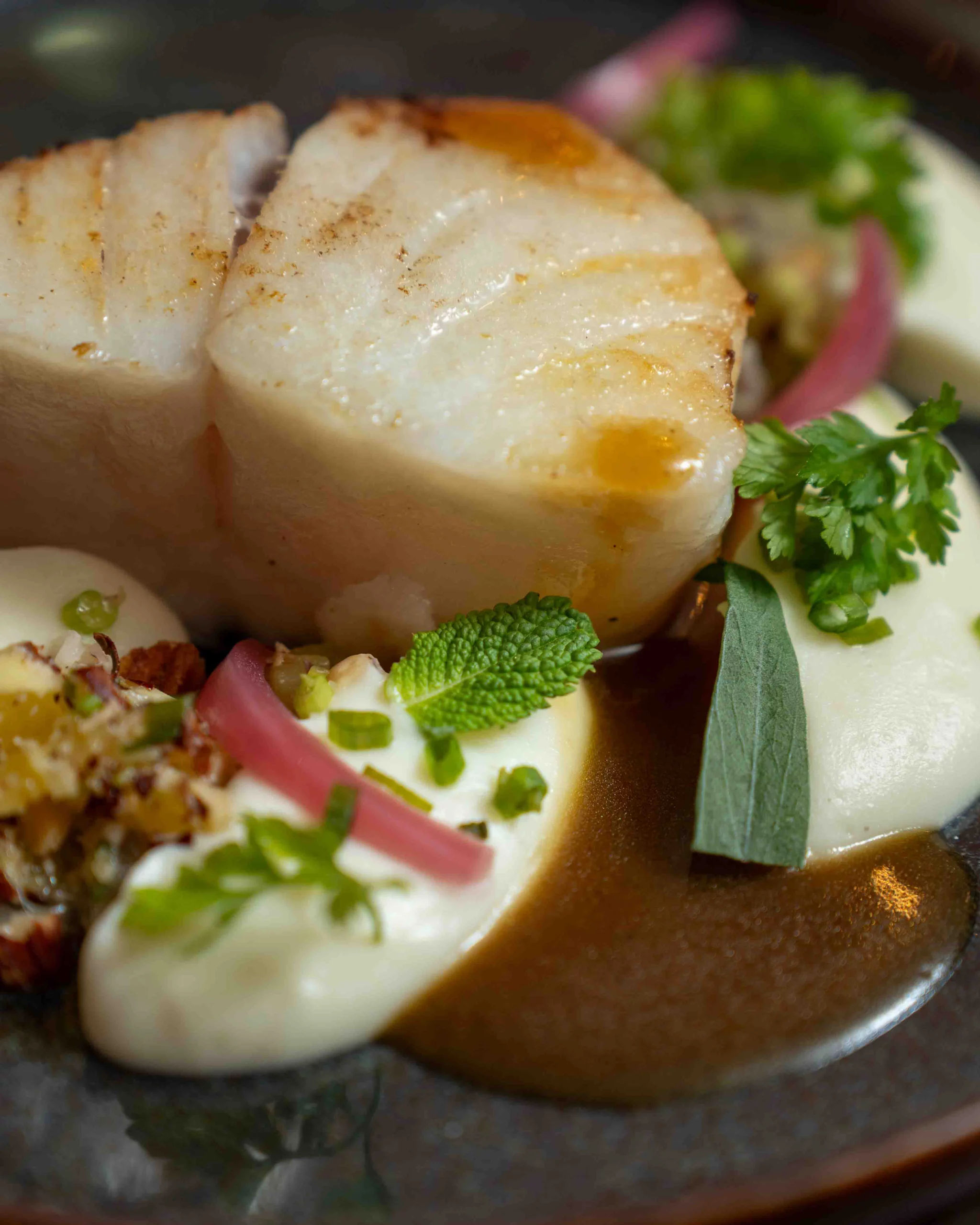 dos de Cabillaud en gros plan